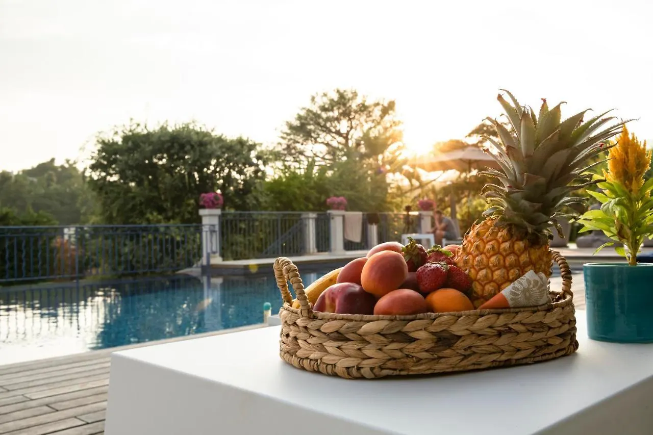 Terre De Reve Bed & Breakfast Le Rouret